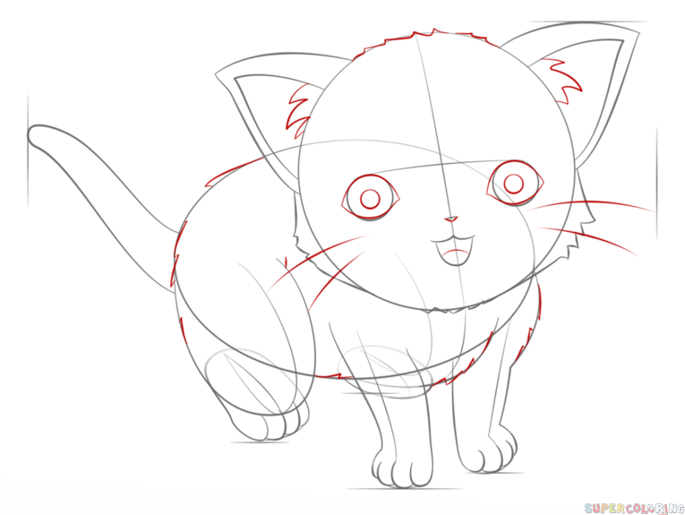 765x575 How To Draw An Anime Cat Step By Step. Drawing Tutorials For Kids