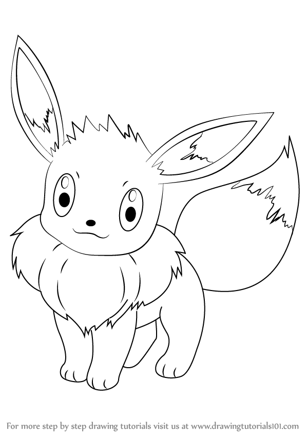 598x844 Learn How To Draw Eevee From Pokemon (Pokemon) Step By Step