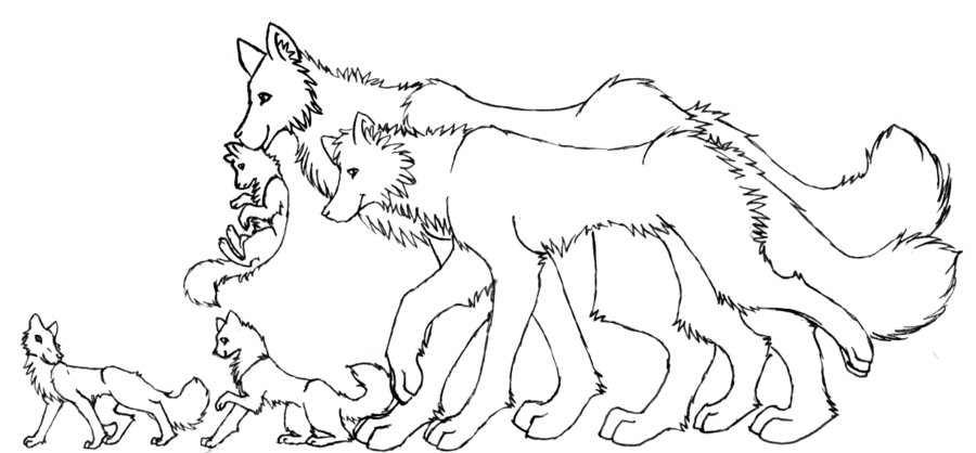 900x418 Free Wolf Family Lineart By Trisomy