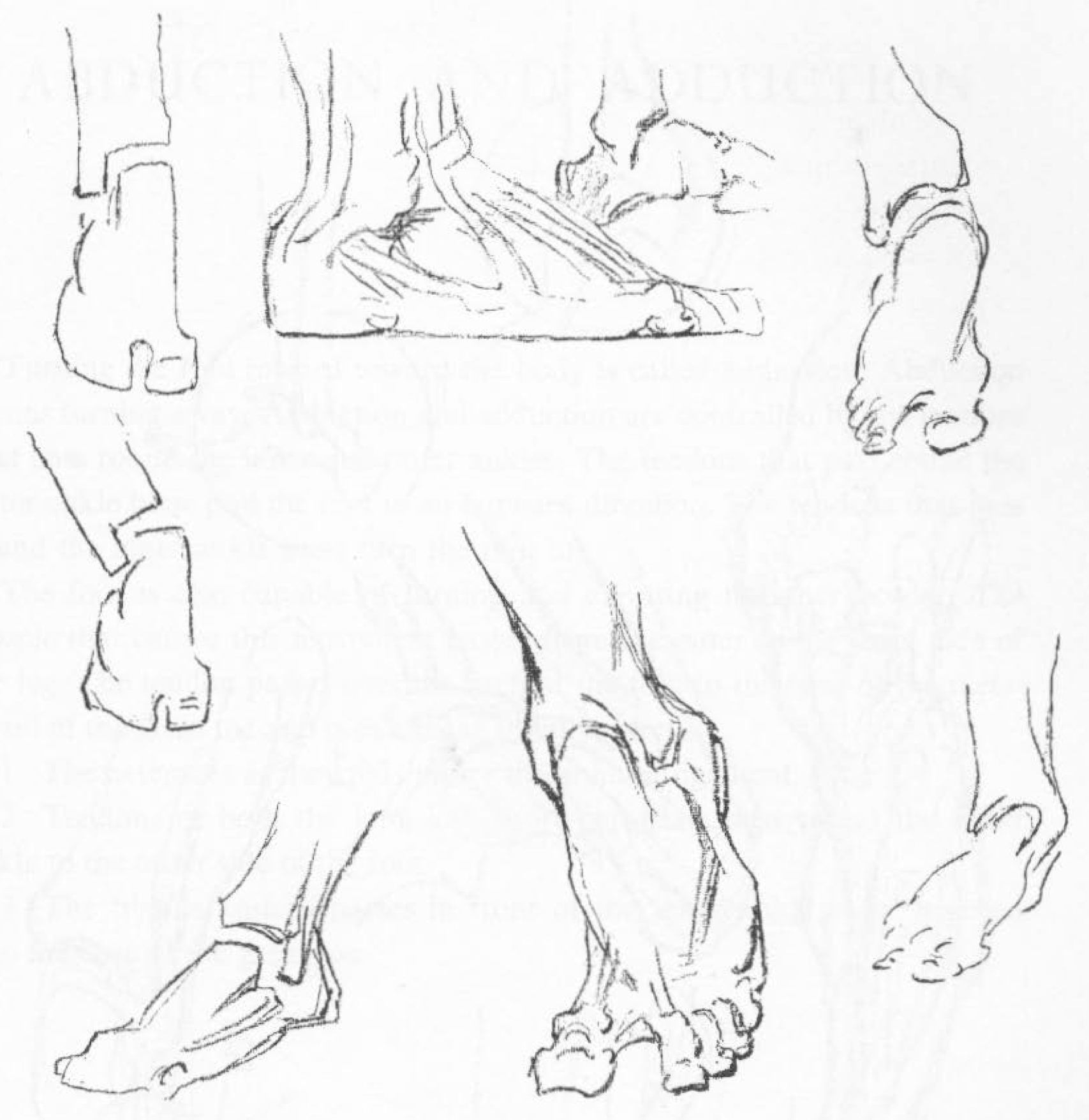 1707x1755 How To Draw The Foot Drawing Feet And The Anatomy Of Them