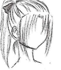 209x241 Drawn Ponytail Beginner Hair
