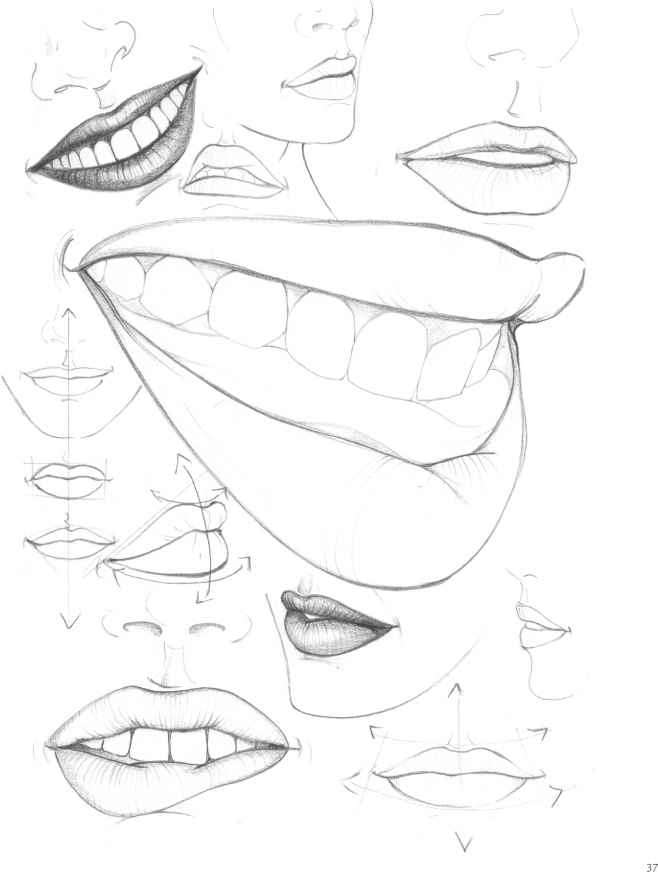 658x872 How To Draw Girl Anime Noses