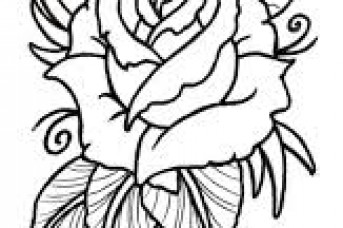 343x228 Anime Flowers Drawing