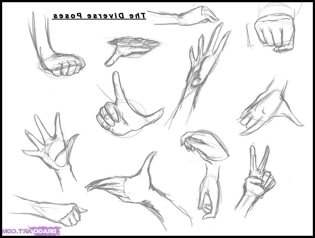 1024x774 How To Draw Anime Step By Step Drawn Manga Step By Step