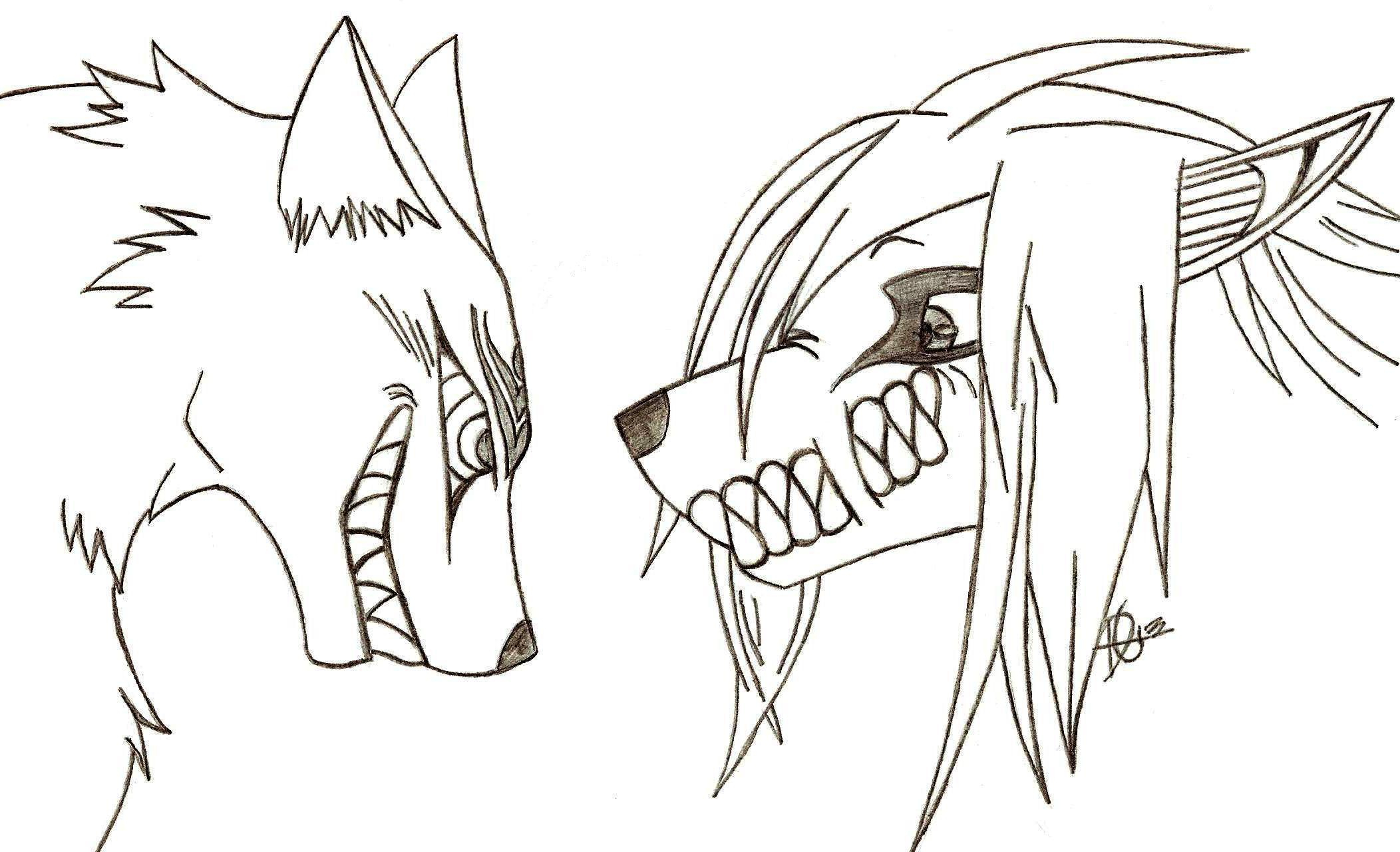 2104x1280 Wolf Drawings Anime Anime Wolf Drawing