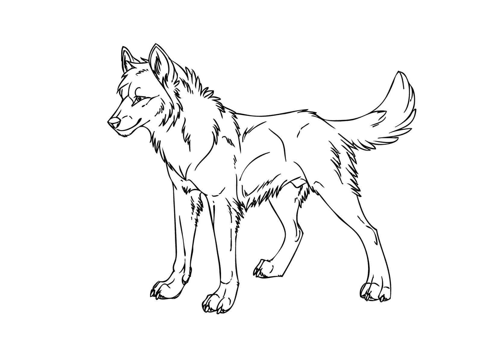 Anime Wolves Drawing at GetDrawings | Free download