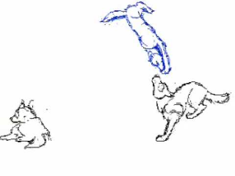 480x360 Anime Wolf Fight.wmv