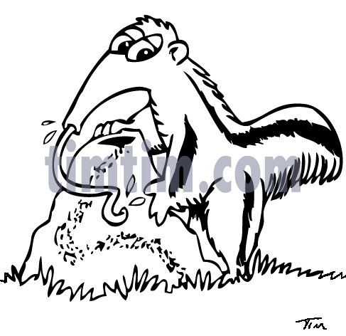 487x472 Free Drawing Of Anteater Bw From The Category Wild Animals
