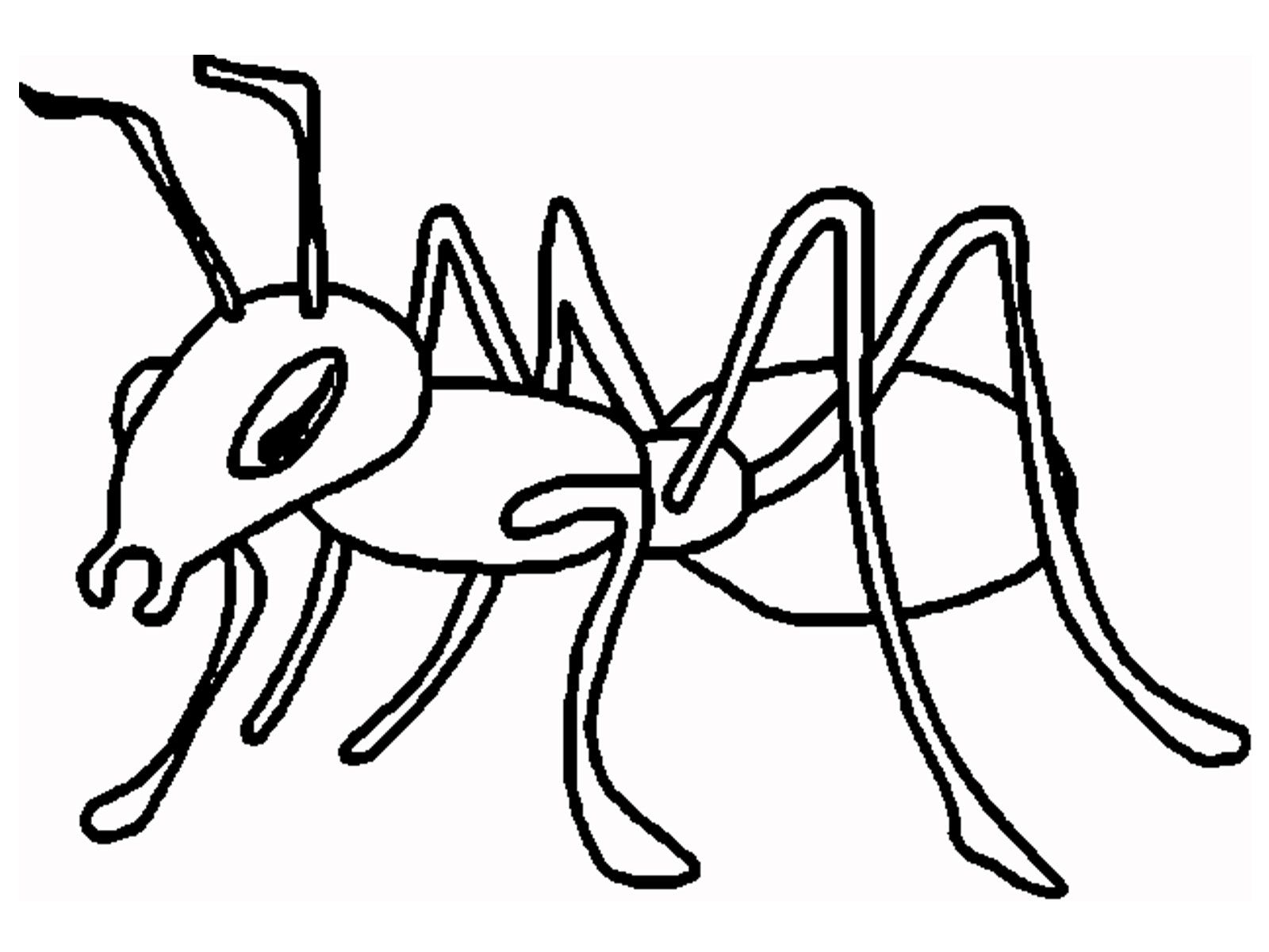 1600x1200 Ant Coloring Page Ant Cartoon And Printable Ants Coloring Pages