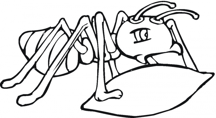 700x383 Ant Clipart Printable