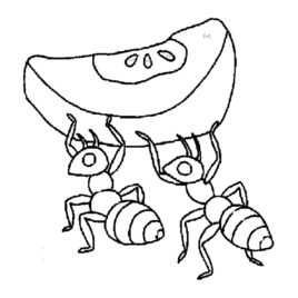 268x268 Cartoon Ant Coloring Page Archives