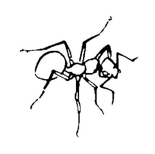510x506 Ant Coloring Pagessheets