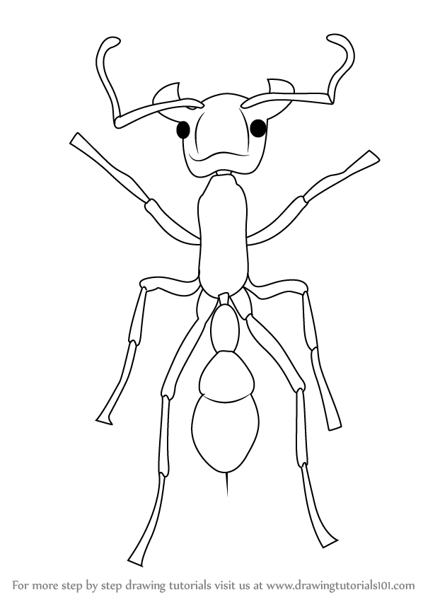 598x844 Learn How To Draw A Bullet Ant (Insects) Step By Step Drawing