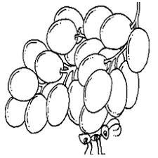 225x225 The Best Ant Drawing Ideas On Tortuga Marina