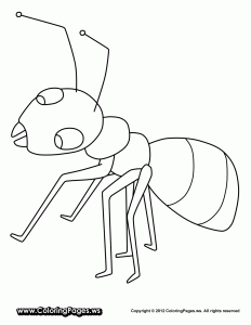 232x300 Ant Coloring Pages For Preschoolers Coloring
