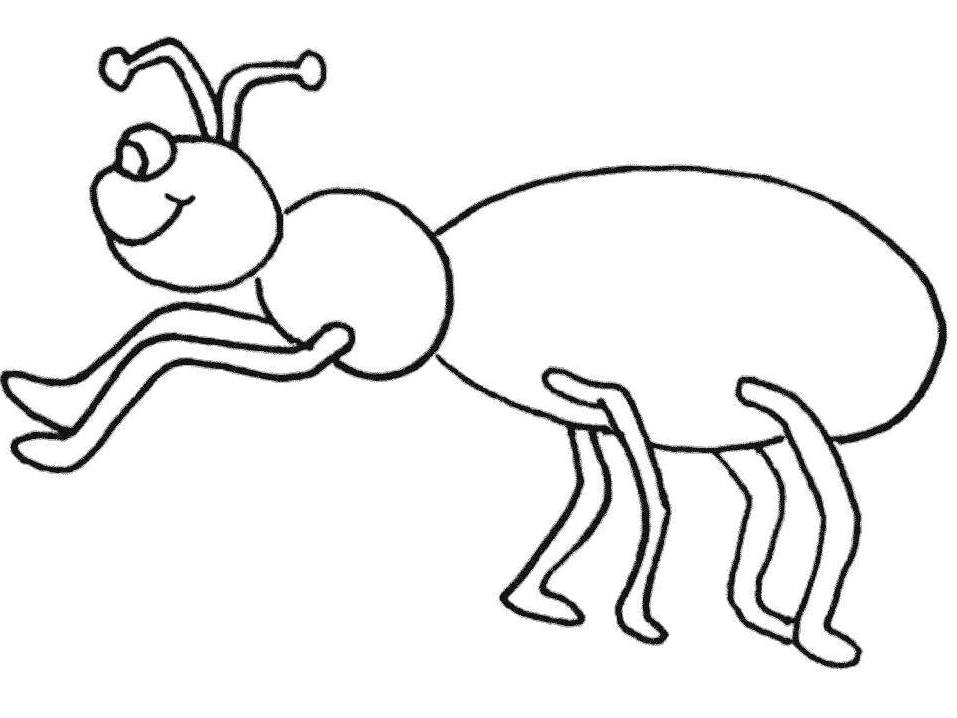 957x718 Ants Clipart Colouring Picture