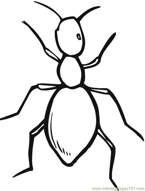 590x780 Perfect Ant Coloring Page Nice Colorings Desig