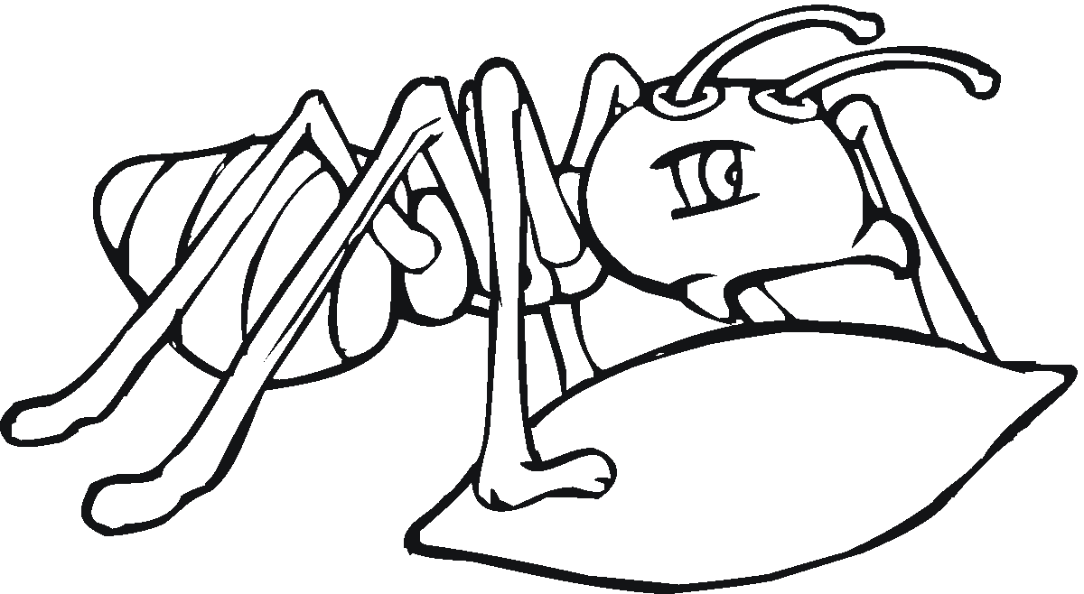1200x658 Special Ant Coloring Page Top Kids Coloring Do