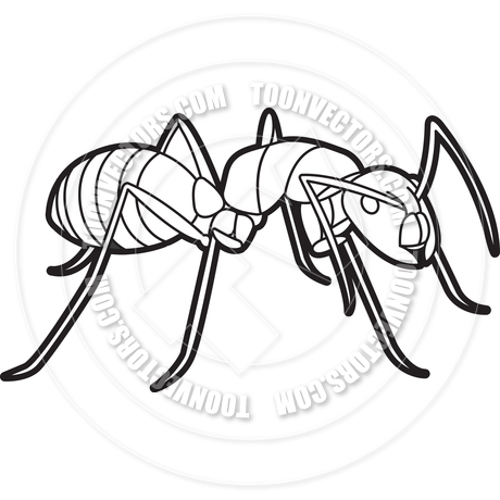 460x460 Cartoon Ant By Lal Perera Toon Vectors Eps