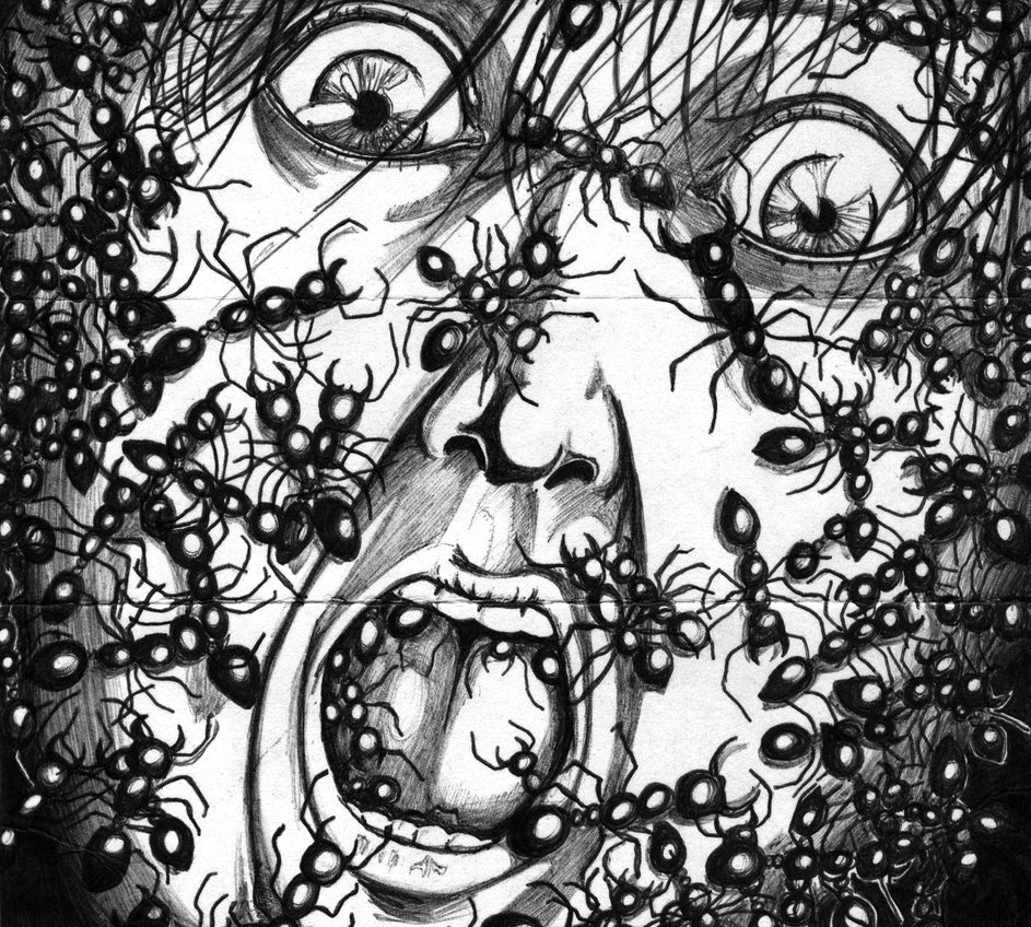 943x848 More Ant Related Pictures