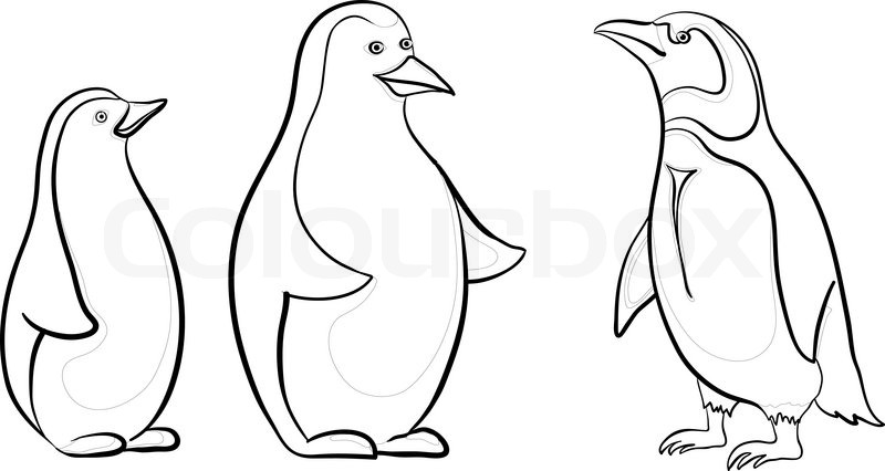 800x426 Antarctic Emperor Penguins, Black Contours On White Background