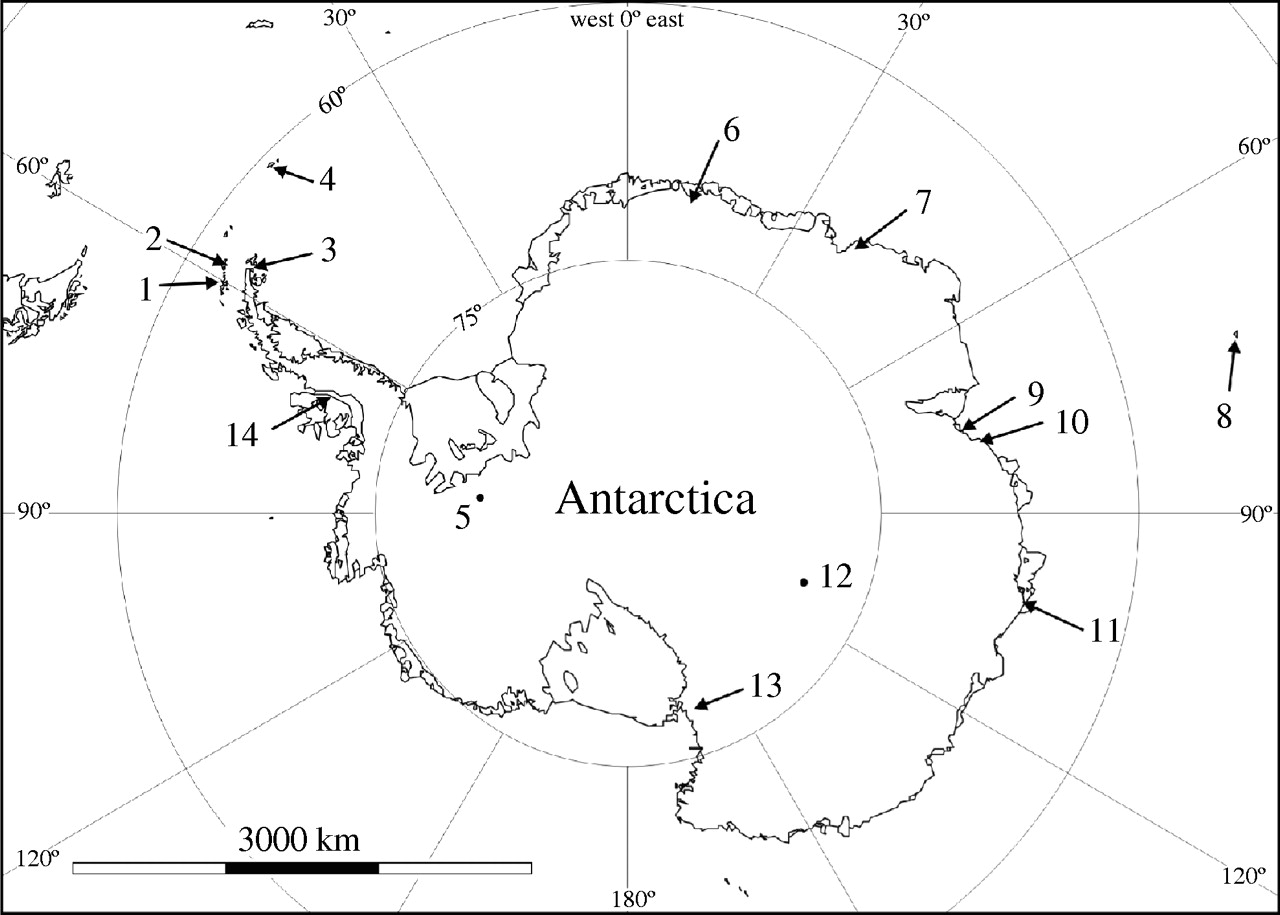 1280x915 The Biodiversity And Ecology Of Antarctic Lakes Models
