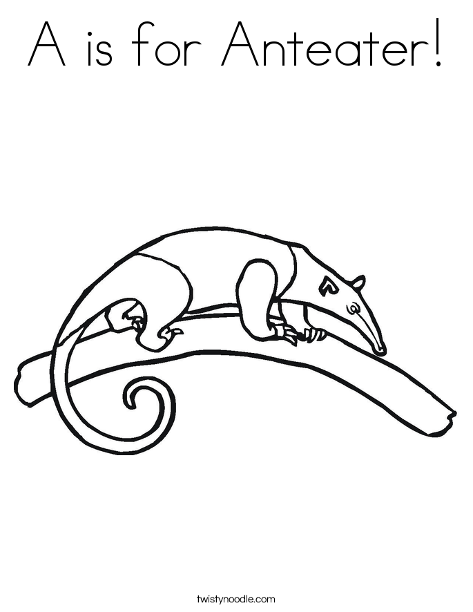 685x886 A Is For Anteater Coloring Page