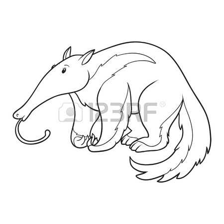 450x450 Coloring Book (Anteater) Royalty Free Cliparts, Vectors, And Stock