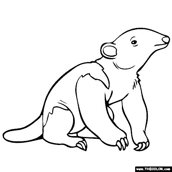 560x560 Free Online Coloring Pages