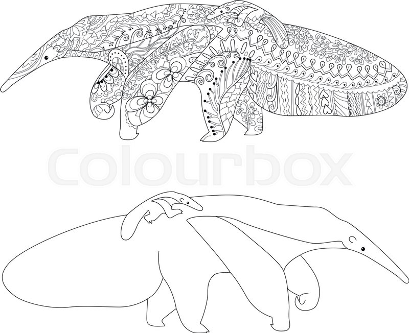 800x652 High Detail Patterned Illustration In Zen Tangle Style. Adult