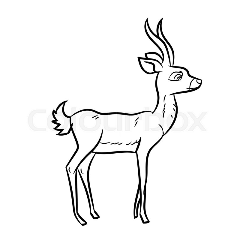 800x800 Hand Drawn Sketch Of Antelope Isolated, Black And White Cartoon