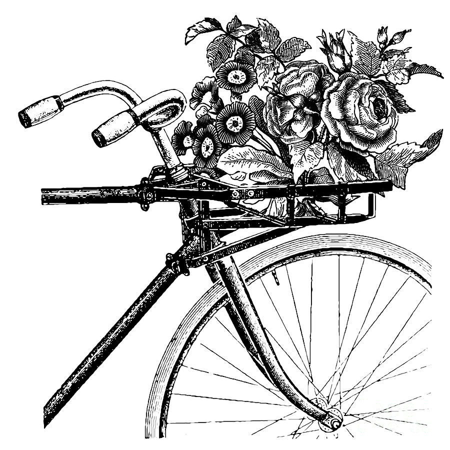 900x900 Vintage Bicycle Flower Basket Digital Art By Jonathan Casillas