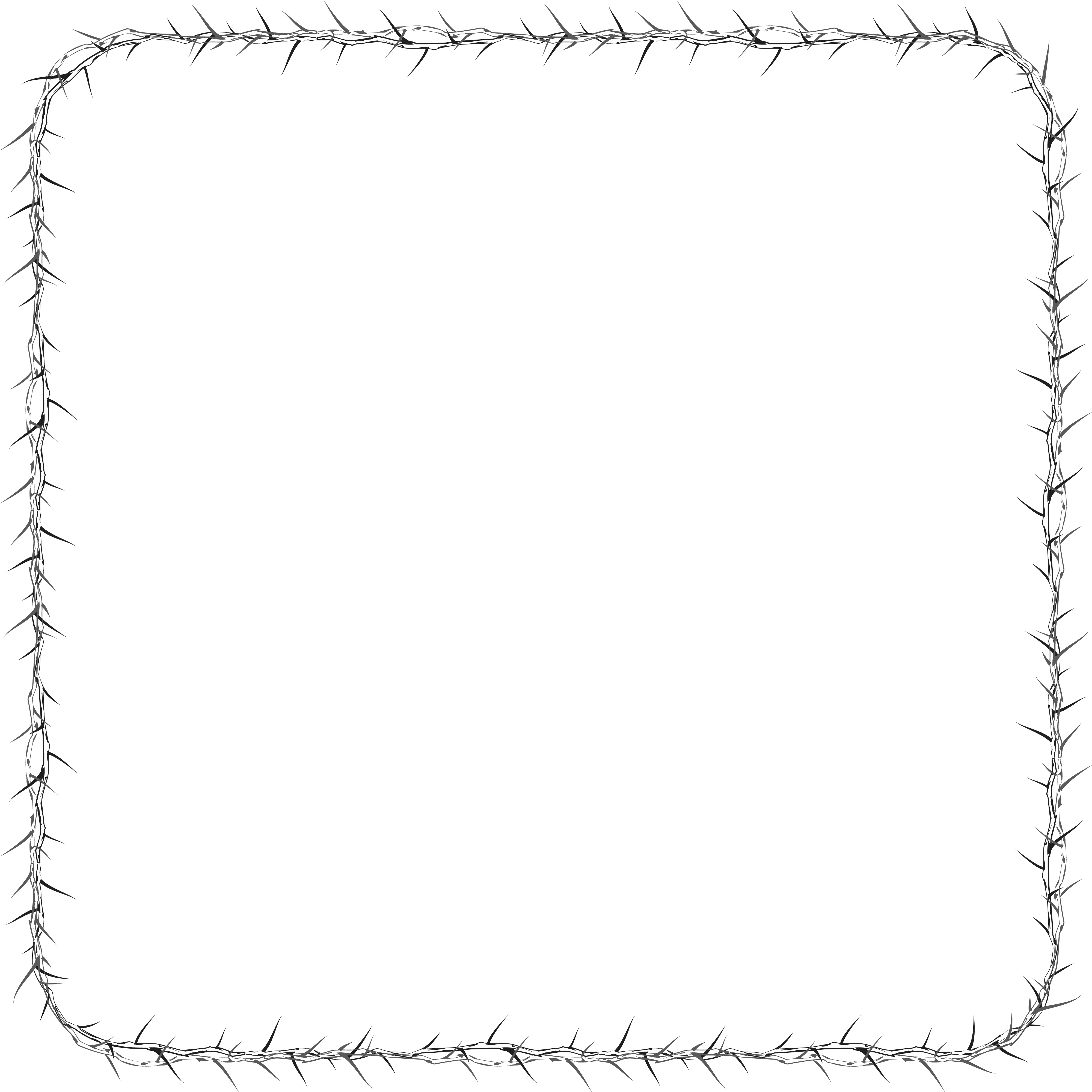 4000x4000 Thorns Clipart Antique Frame