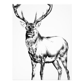 324x324 Antler Letterhead Zazzle