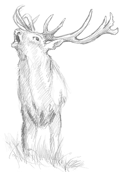 418x600 The Sketch Why Sketching