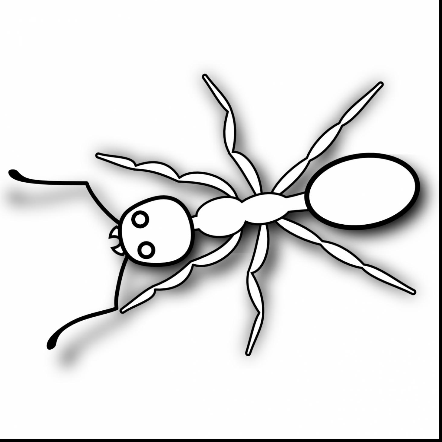 1464x1464 Ants Clipart Three