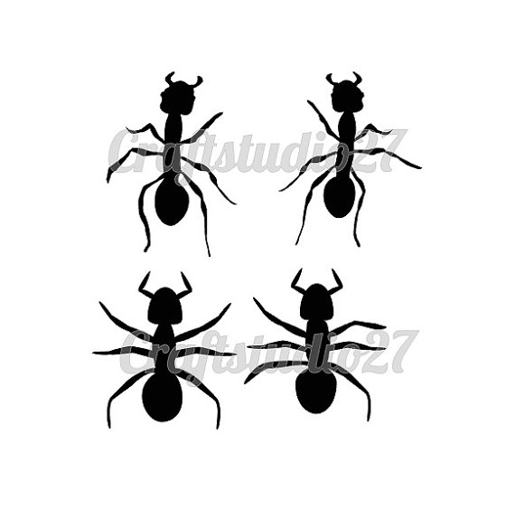 570x574 Ants Svg Ant Bugs Insects 4 Different Ants Silhouette Cameo Cricut