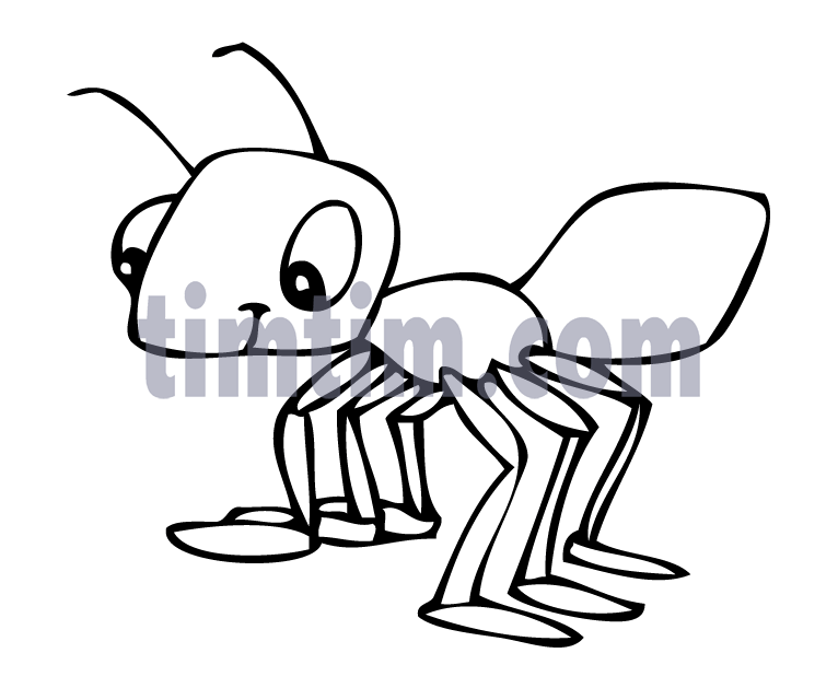766x629 Red Ant Drawing