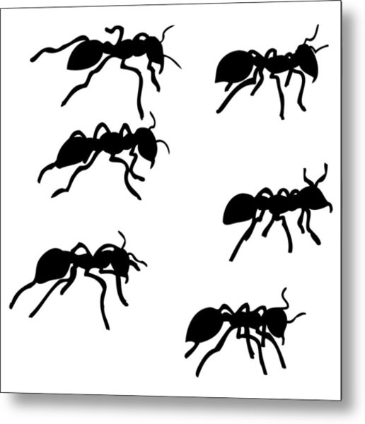 516x600 Six Ants Drawing By Karl Addison