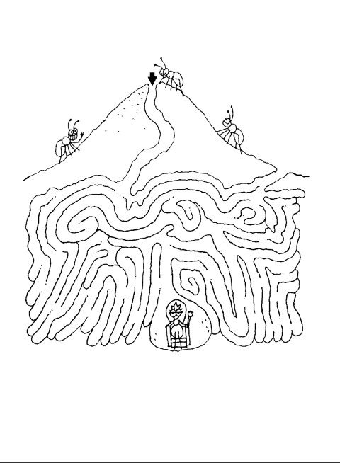 480x654 The 58 Best Images About