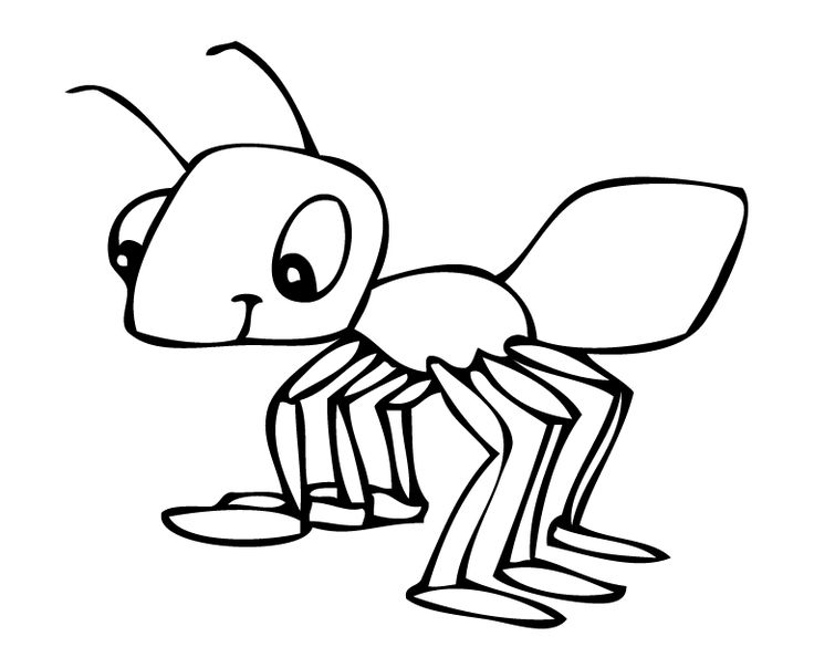 736x604 Ant Pictures To Color 86 Best Ant Images On Picasa