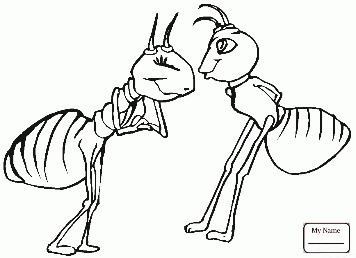 1224x889 Coloring Pages Ant Is Swimming Ants Insects