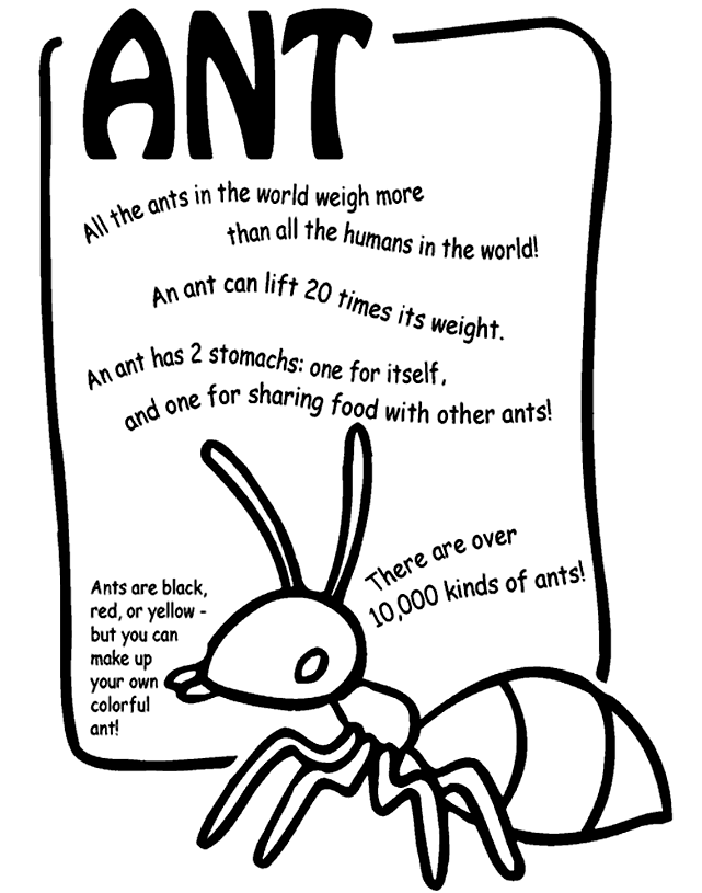 641x815 Ant Coloring Page