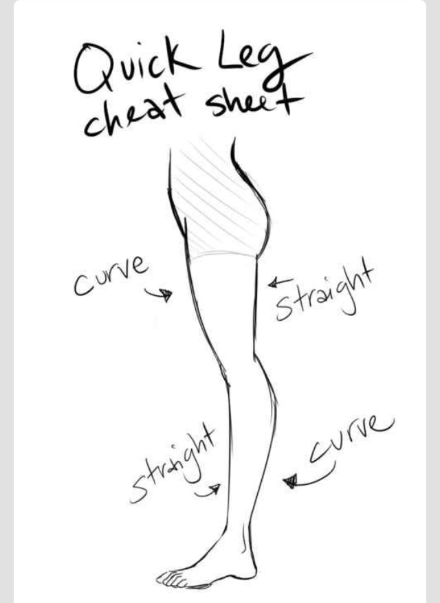 640x878 17 Diagrams That Will Help You Draw (Almost) Anything Legs