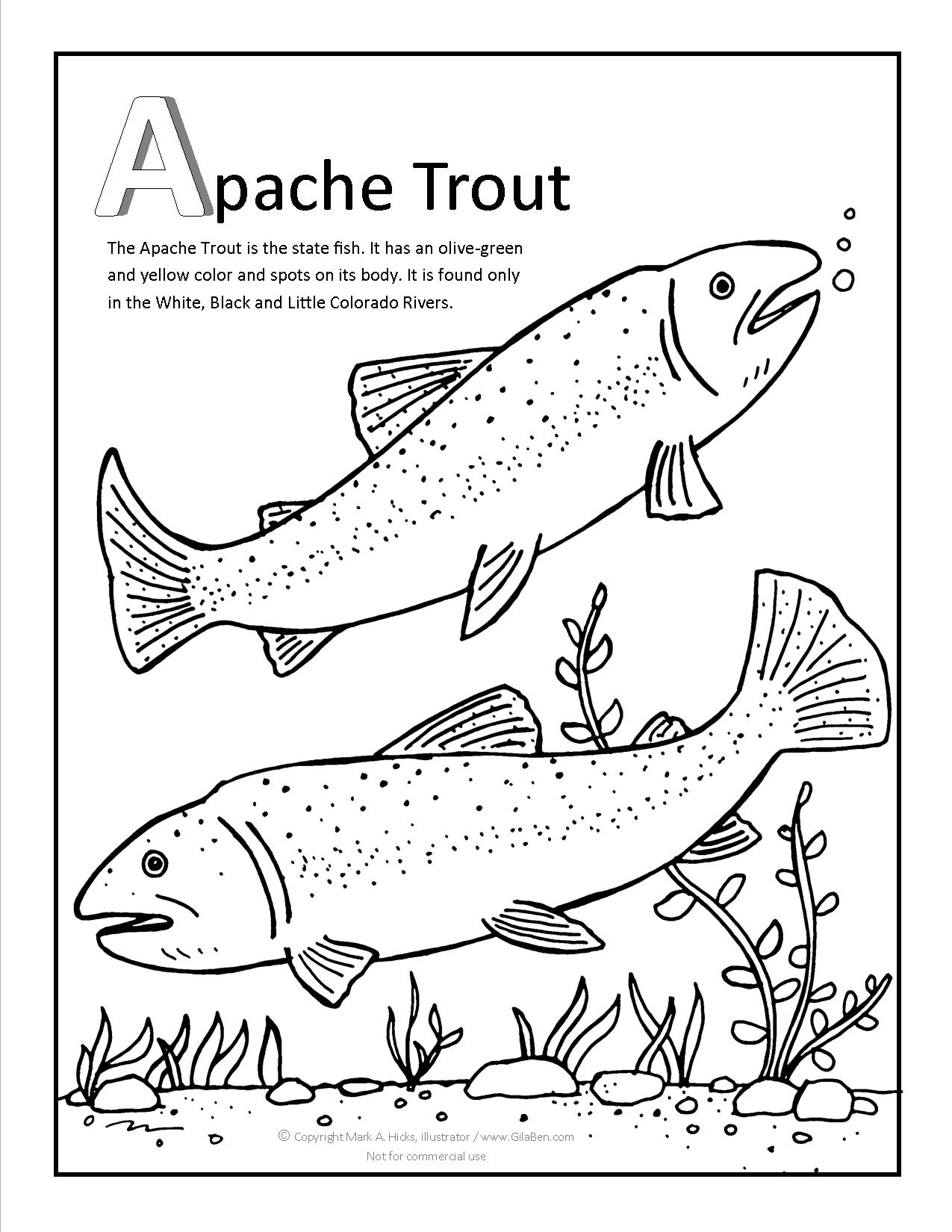 1275x1650 Apache Trout Coloring Page