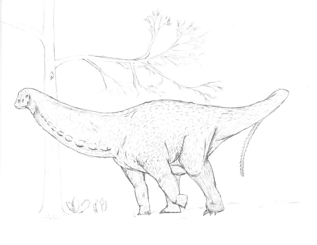 1017x786 Apatosaurus By Paleop