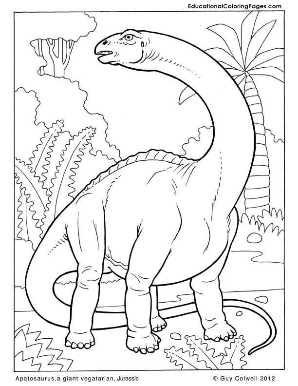 612x792 Apatosaurus Coloring Pages, Dinosaurs Coloring Pages, Jurassic