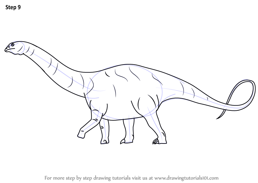 844x598 Learn How To Draw A Apatosaurus (Dinosaurs) Step By Step Drawing