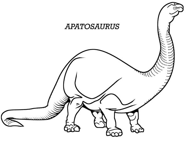 600x480 Learn About Apatosaurus Coloring Pages Best Place To Color