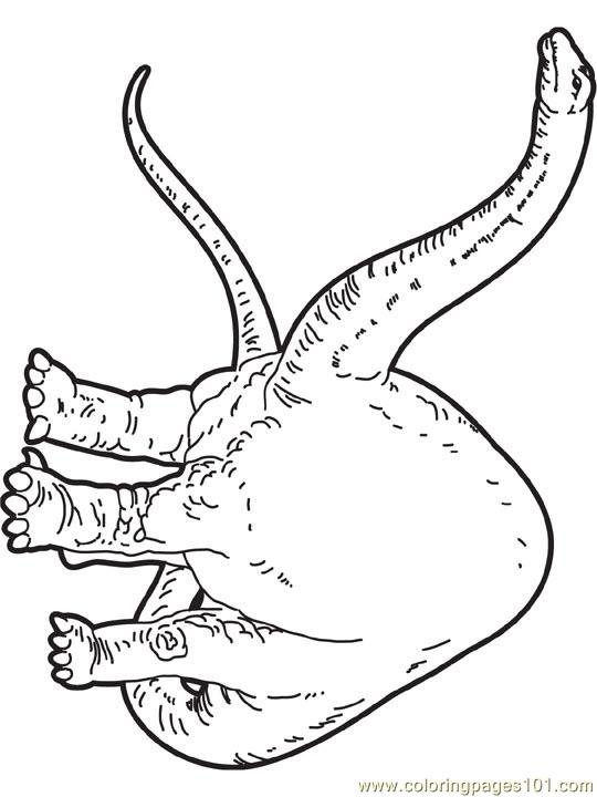 540x720 Apatosaurus Coloring Page